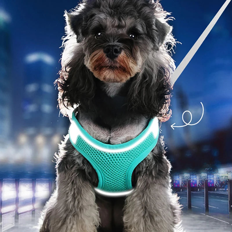 Harness Vest - Daily Pets Deals