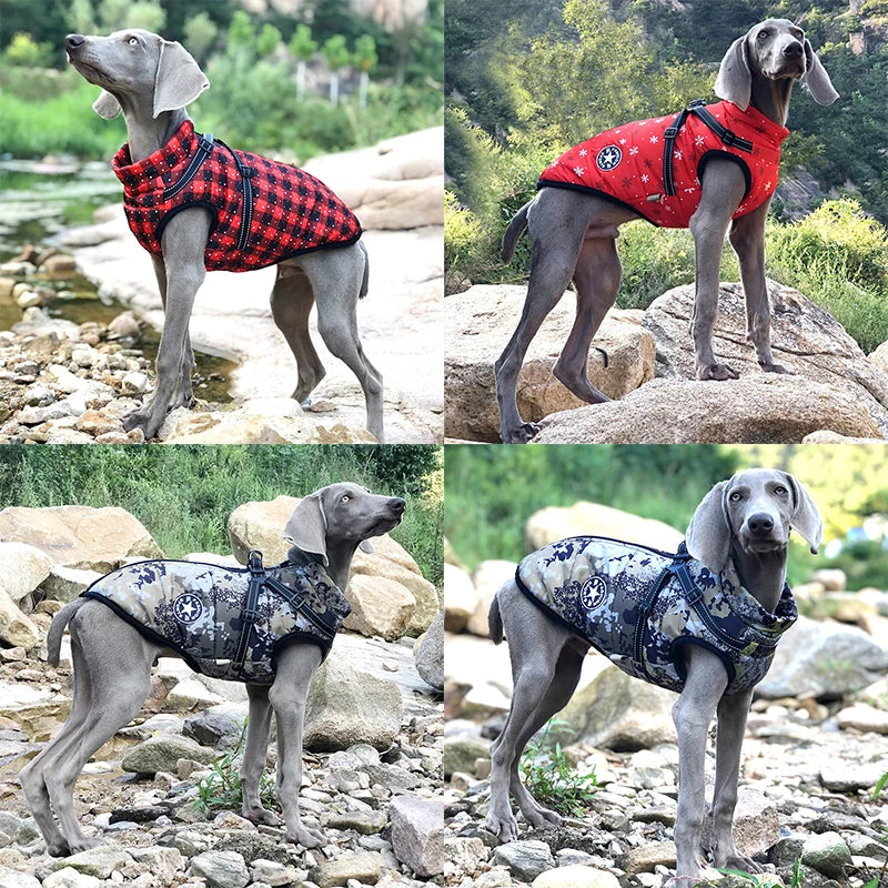 Waterproof Pet Jacket - Daily Pets Deals