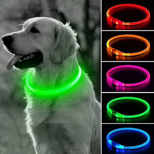 Led Collar - Daily Pets Deals