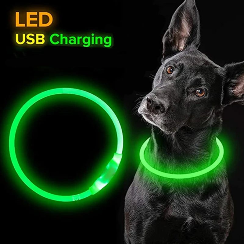 Led Collar - Daily Pets Deals