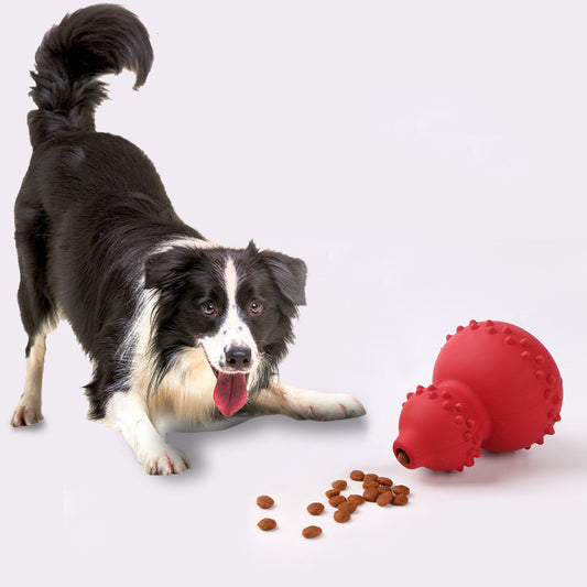 Rubber Pet toy resistant to biting - Daily Pets Deals