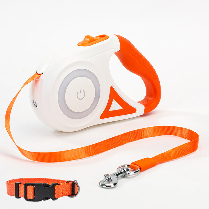 Illuminate Your Walks with Our Spotlight Dog Collar ! - Daily Pets Deals